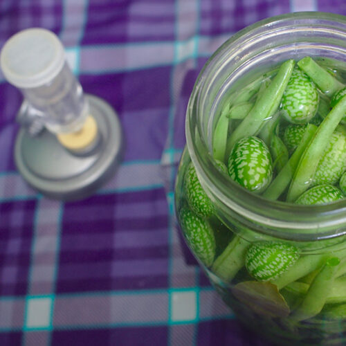 Fermentation Lids and Jar Airlock Systems: Do They Help?
